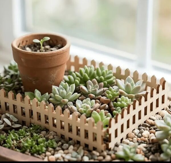 Clôture en bois