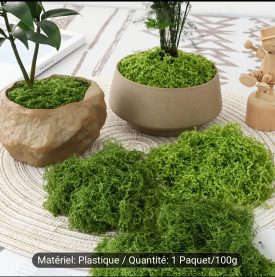 WhatsApp Image 2026-02-15 at 01.56.44 (1)